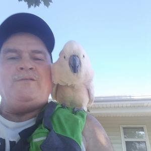 Meet your Posher, David